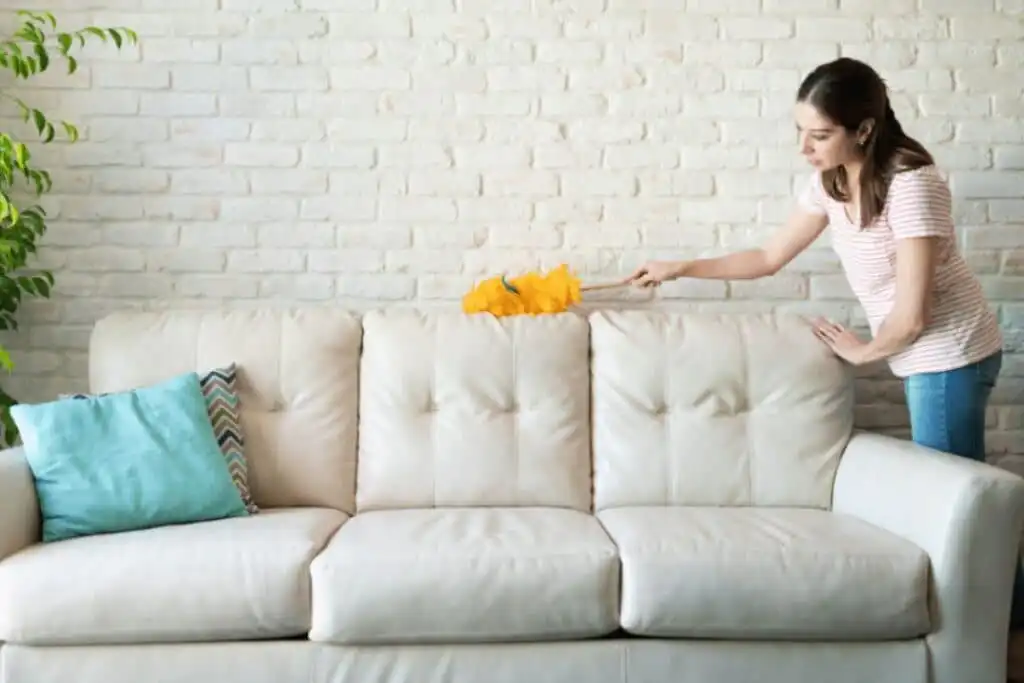 Fresh home maintenance tips