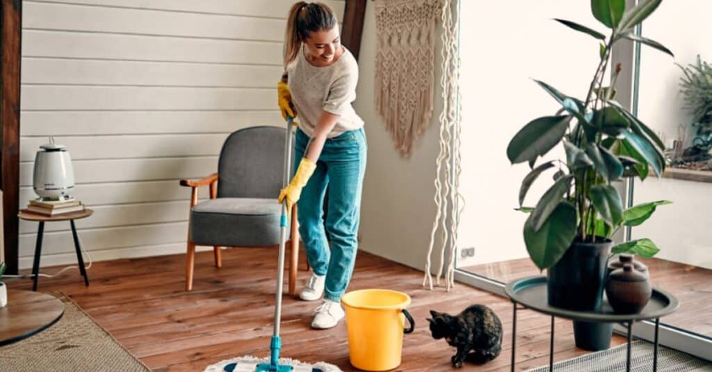 Effortless home cleaning tips